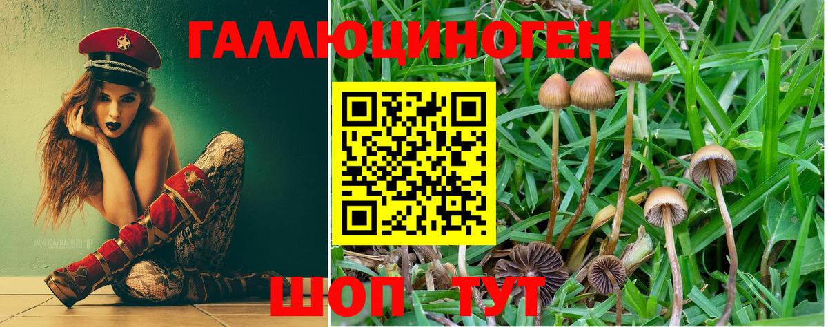 Галлюциногенные грибы MAGIC MUSHROOMS Артёмовский
