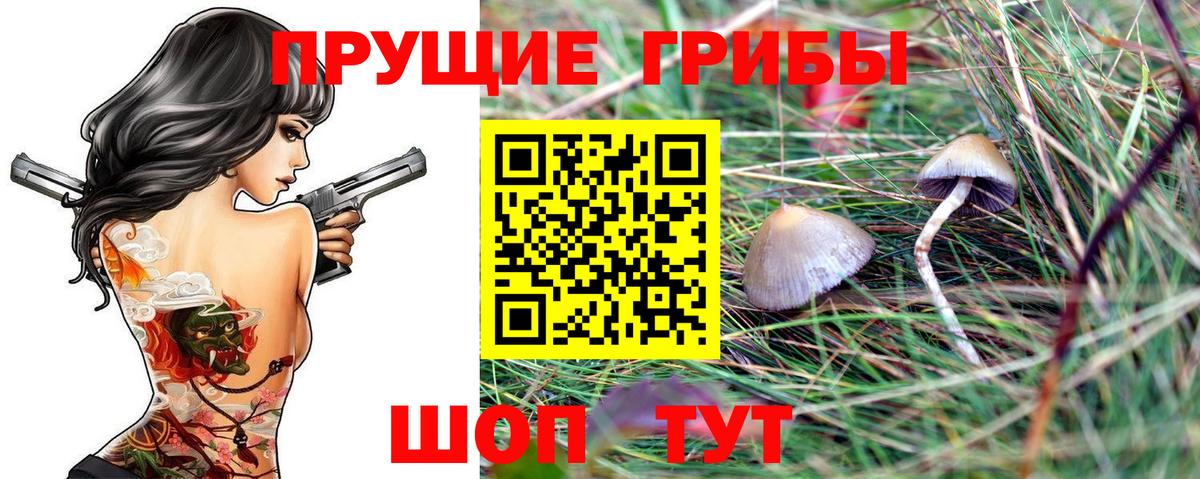 Галлюциногенные грибы Psilocybine cubensis  Артёмовский 