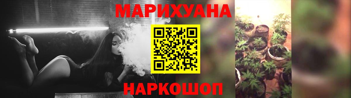 Каннабис план  Канабис план  МАРИХУАНА сатива  Артёмовский  Вход с VPN 